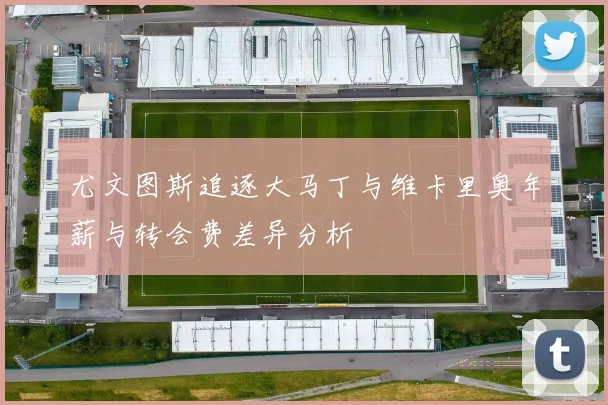 尤文图斯追逐大马丁与维卡里奥年薪与转会费差异分析